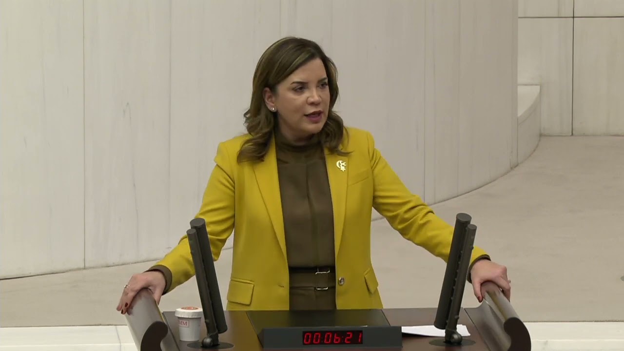MHP İSTANBUL MİLLETVEKİLİ SAYIN ARZU ERDEM 15.12.2022 TBMM GENEL KURUL KONUŞMASI