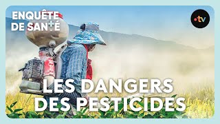 Les dangers des pesticides