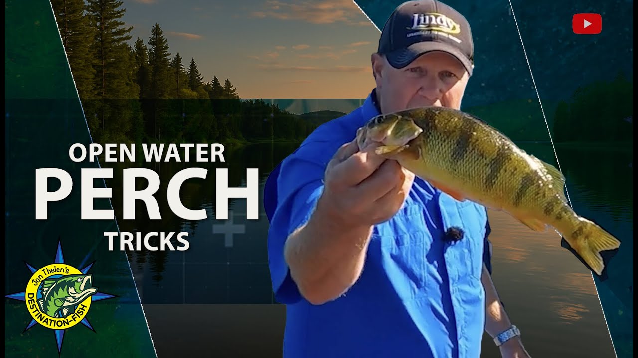 How to Catch Perch | Open Water Perch Tricks | Destination Fish TV with Jon Thelen