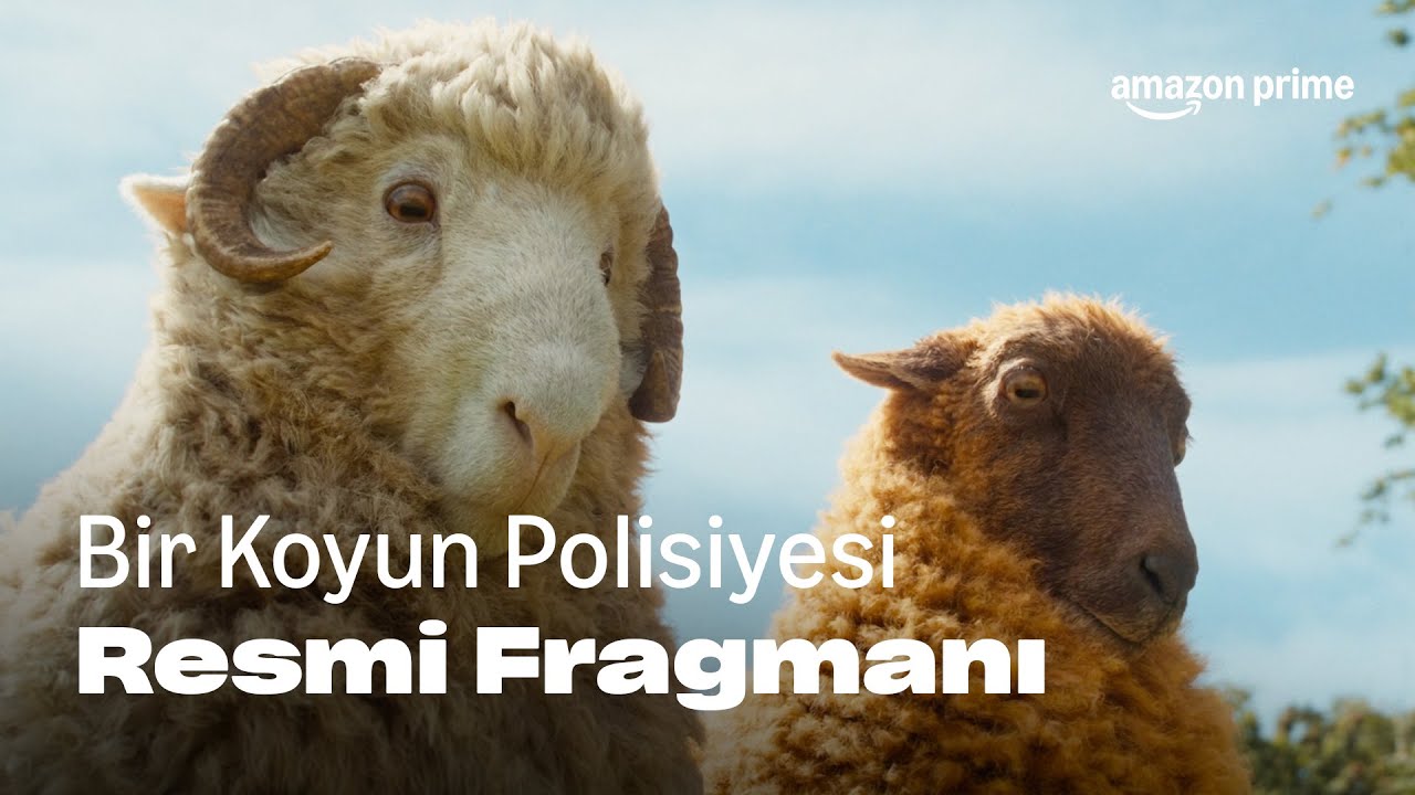 Bir Koyun Polisiyesi fragman kapak görseli