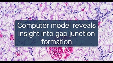 Simulation of gap junction formation reveals critical role disulfide bonds hemichannel docking