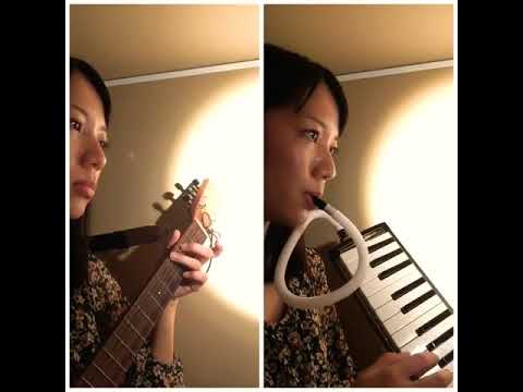 慟哭/恋一夜/嵐の素顔/MUGO・ん…色っぽい/黄砂に吹かれて//工藤静香 5曲set販売01 (ギター/コード譜/簡単/弾き語り/アレンジ/通し弾き/無料オンラインレッスン) - 工藤静香