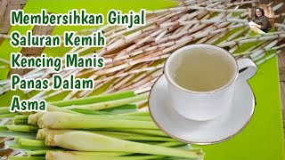 Manfaat Akar Alang Alang Dan Serai Untuk Kesehatan