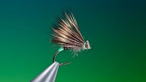 Tying a Female Caddis/Sedge fly with Barry Ord Clarke
