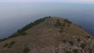 Mallorca Music  - Canyamel  PLUS screenshot 4