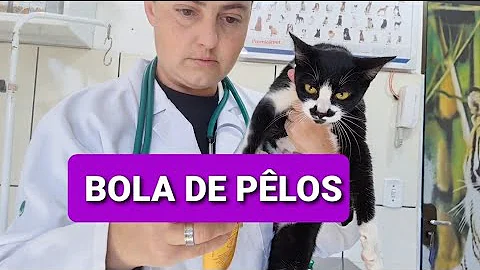 O que fazer quando o gato está com bola de pêlo?