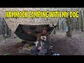 Hammock Camping With My Dog