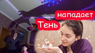 VLOG Реакция Кати на вторую крысу