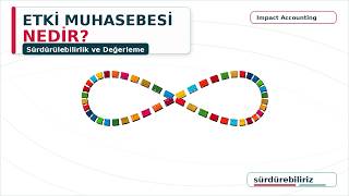Etki Muhasebesi Nedir?
