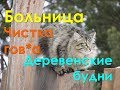 Деревенские будни | Деревенский парень в больнице с ребенком | Чистим вместе навоз | Козы | Свиньи