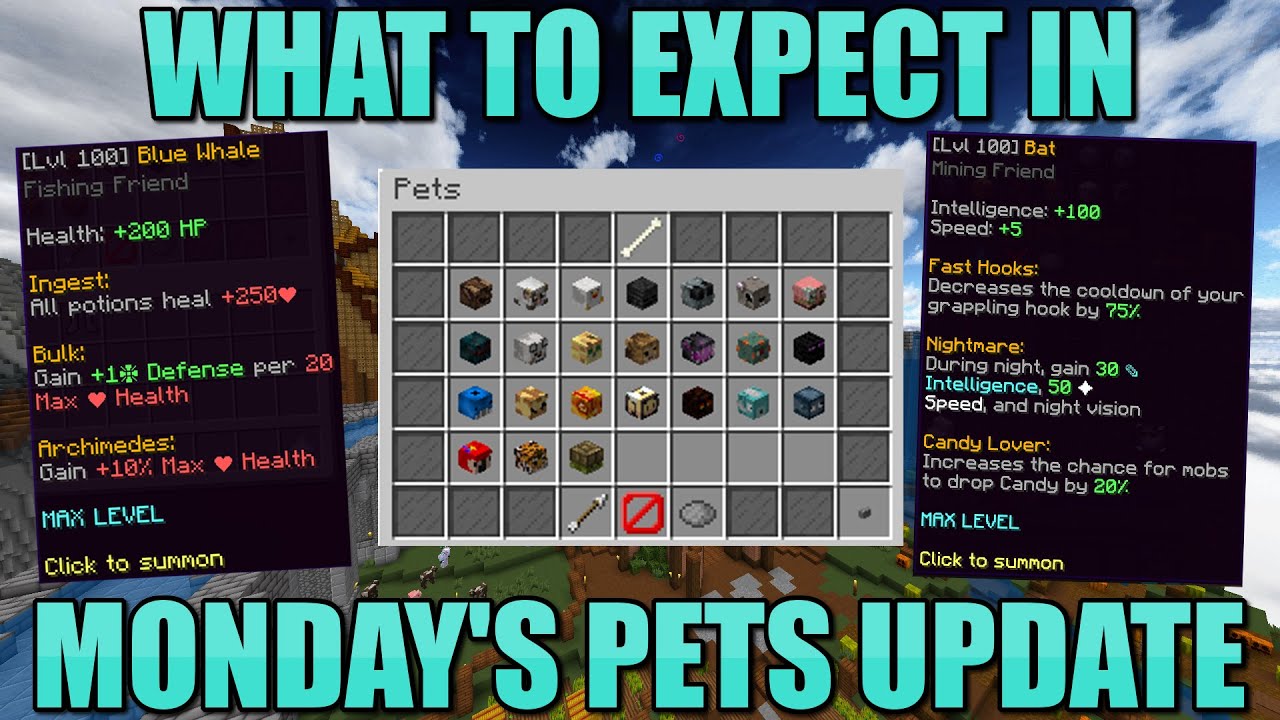 What To Expect In The Pet Update | Hypixel SkyBlock - YouTube