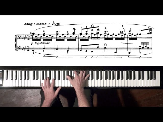 Beethoven Pathétique Sonata TUTORIAL 2nd Movement - P. Barton, FEURICH piano class=