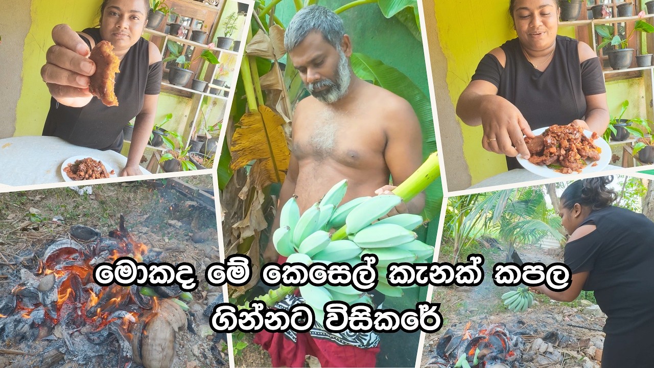 කෙසෙල් ඇවරියට ගිණි තියලා මෙහෙම කලාම පොරකයට නියම උණු ජිවිතයක් බේරෙනවා - VeggieMaster