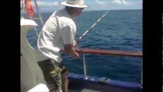 Video Daphne Mayor