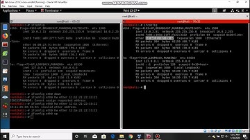 Internet is not working after changing MAC address in Kali linux