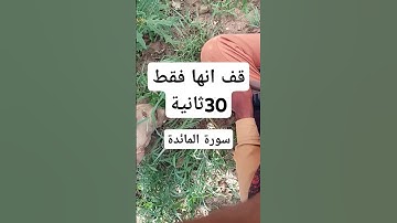 قف انها فقط 30ثانية# سورة المائدة