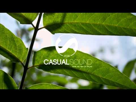 Lucas & Steve - Make It Right (Extended Mix)