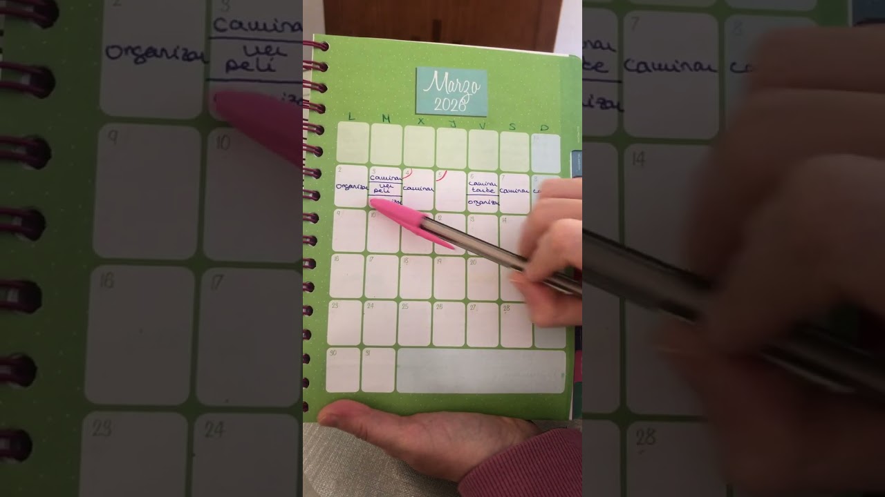 Organización para Marzo😃