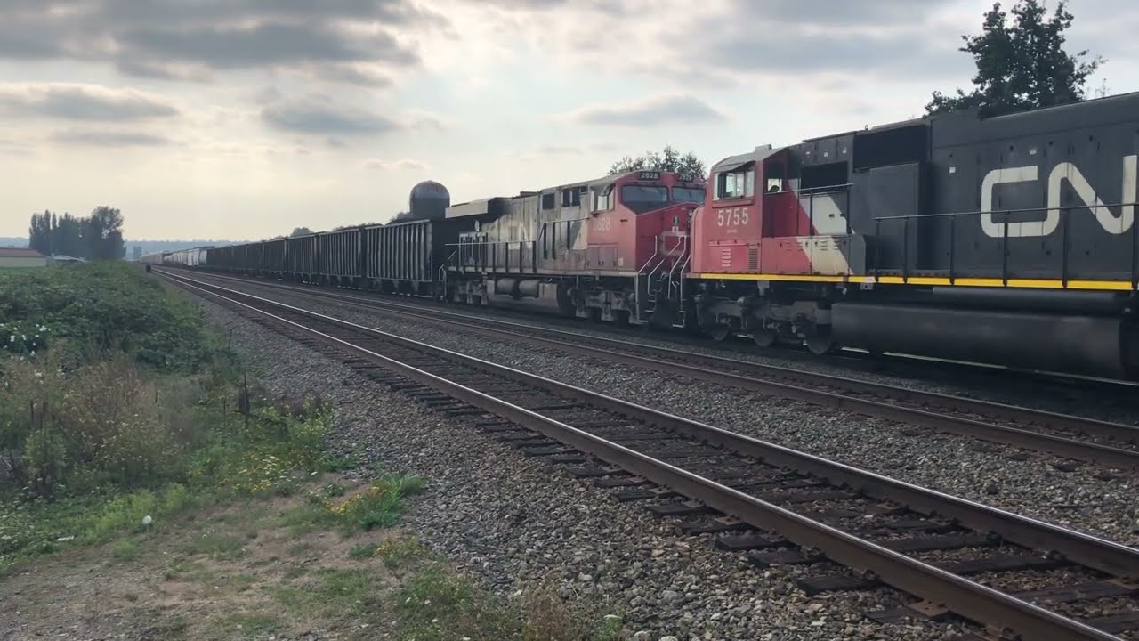 Triple Header!!! CN 356 Mixed Train @ Matsqui BC Canada 01SEP25 SD75IACC 8339 Leading