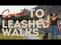 MY SECRET TO A PERFECT LEASHED WALK | Walk &amp; Talk Pt. 11