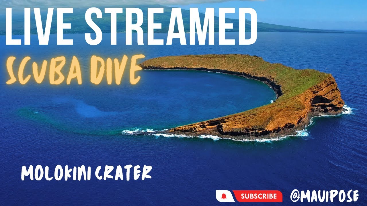 MOLOKINI CRATER IN HAWAII LIVE STREAMED SCUBA DIVE  2/18/2023