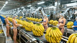 Inside a Banana Juice Factory: How Robots Harvest &amp; Make Fresh Banana Juice (Full Process)