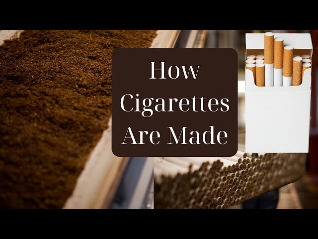 how a cigarette is made How Cigarettes Are Made in a Factory