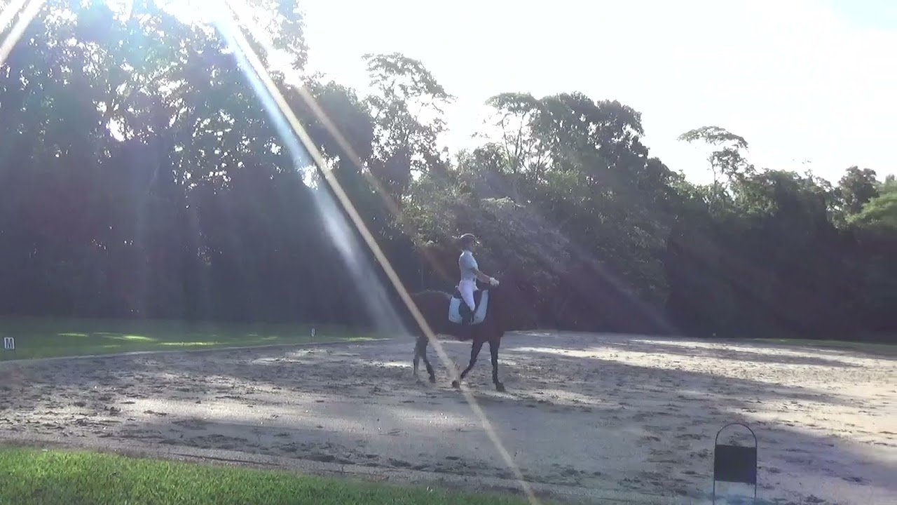 KK & Naketano 4.2   Karen Kells