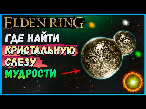 Где найти кристальную слезу мудрости ELDEN RING. Слезы усиления + 10 мудрости