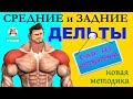 Средние и Задние Дельты - Сразу без объяснений новая методика