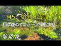 庭池ビオトープ、綺麗な水を維持させる管理の仕方。水草紹介。