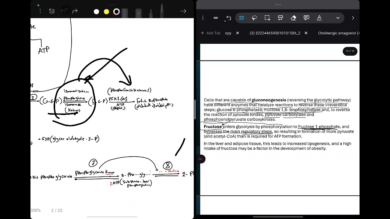 Glycolysis الجزء الاخير