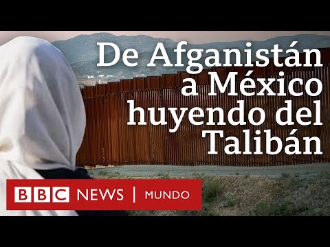 El último grito: el anillo inteligente - BBC News Mundo