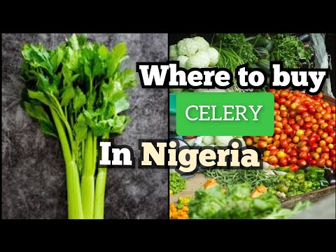 Where to buy Celery in Nigeria