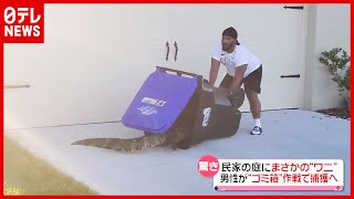 【捕獲】ワニVS男性  ゴミ箱でにじり寄り…