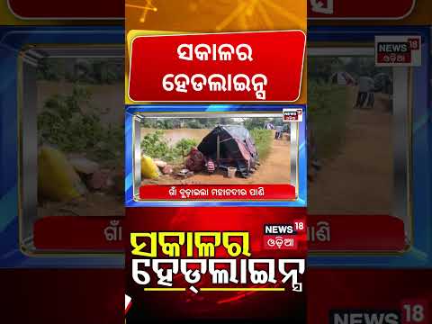 Morning Headlines Odisha Bandh Today News | Odisha Congress Protest | CM Mohan Majhi |Flood Update