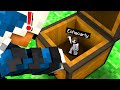 GIOCHIAMO INSIEME AL NASCONDINO DIVERTENTE - MINECRAFT ITA