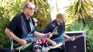 Tiger Shark - Insect Surfers