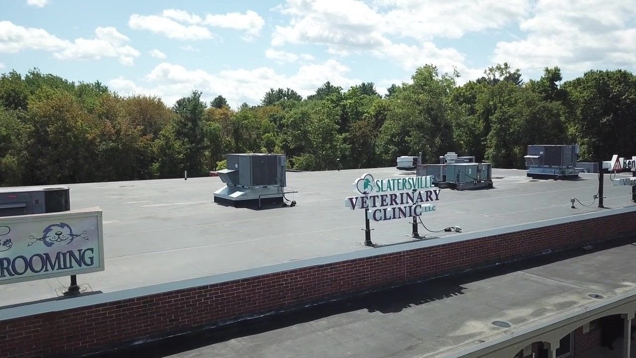 Dr. Suzanne Scott at Slatersville Veterinary Clinic Practice Real Estate Group YouTube