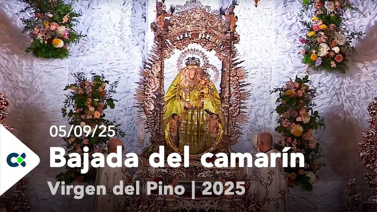 Bajada del camarín Virgen del Pino | 2025
