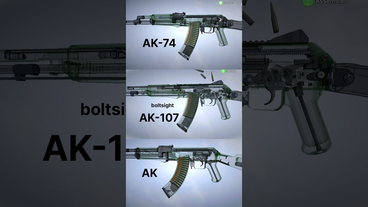 AK Family Face-Off 🔫 Which AK Wins in FPS Games? 