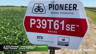 A 2021 Pioneer® brand Enlist E3® soybean: Meet Pioneer® brand P39T61E™