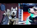 Husky records song at the studio