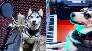 Husky Records Song At The Studio!