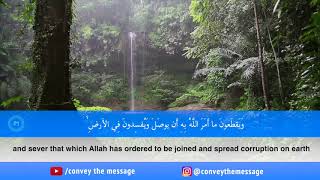 SHEIKH HASSAN KHALIFAH || SURAH AR RA'D (19- 29) ||