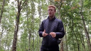 How to make the ALGORITHM bend your reality