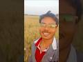 बहुत मेहनत लगी है यह फसल तैयार करने में🙏🙏✅✅👩🌾👩🌾👩🌾💯💯🤗🥵#shorts #minivlog #viral #farmerstruggle