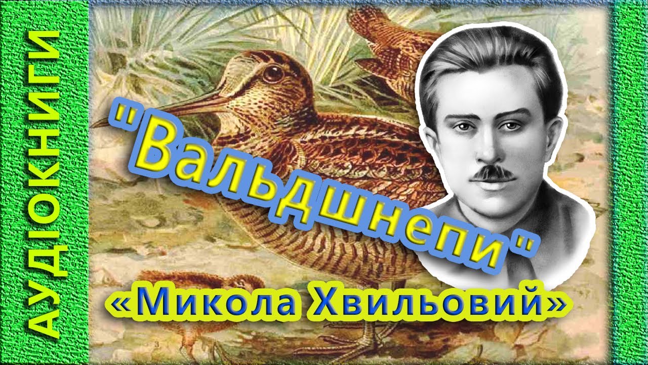 Вальдшнепи, Микола Хвильовий 🎧 (аудіокнига)