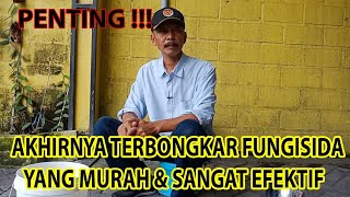 FINALLY A CHEAP & VERY EFFECTIVE FUNGICIDE IS UNVEILED