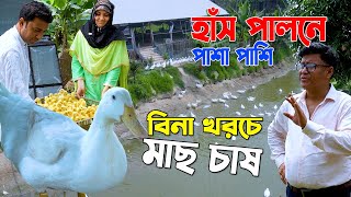 আমি যেভাবে সফল হয়েছি। হাঁস পালনে পাশা পাশি বিনা খরচে মাছ চাষ। উদ্যোক্তা সরকারী চাকরী জীবি screenshot 5